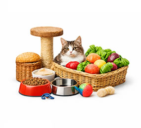 Achei Contatos